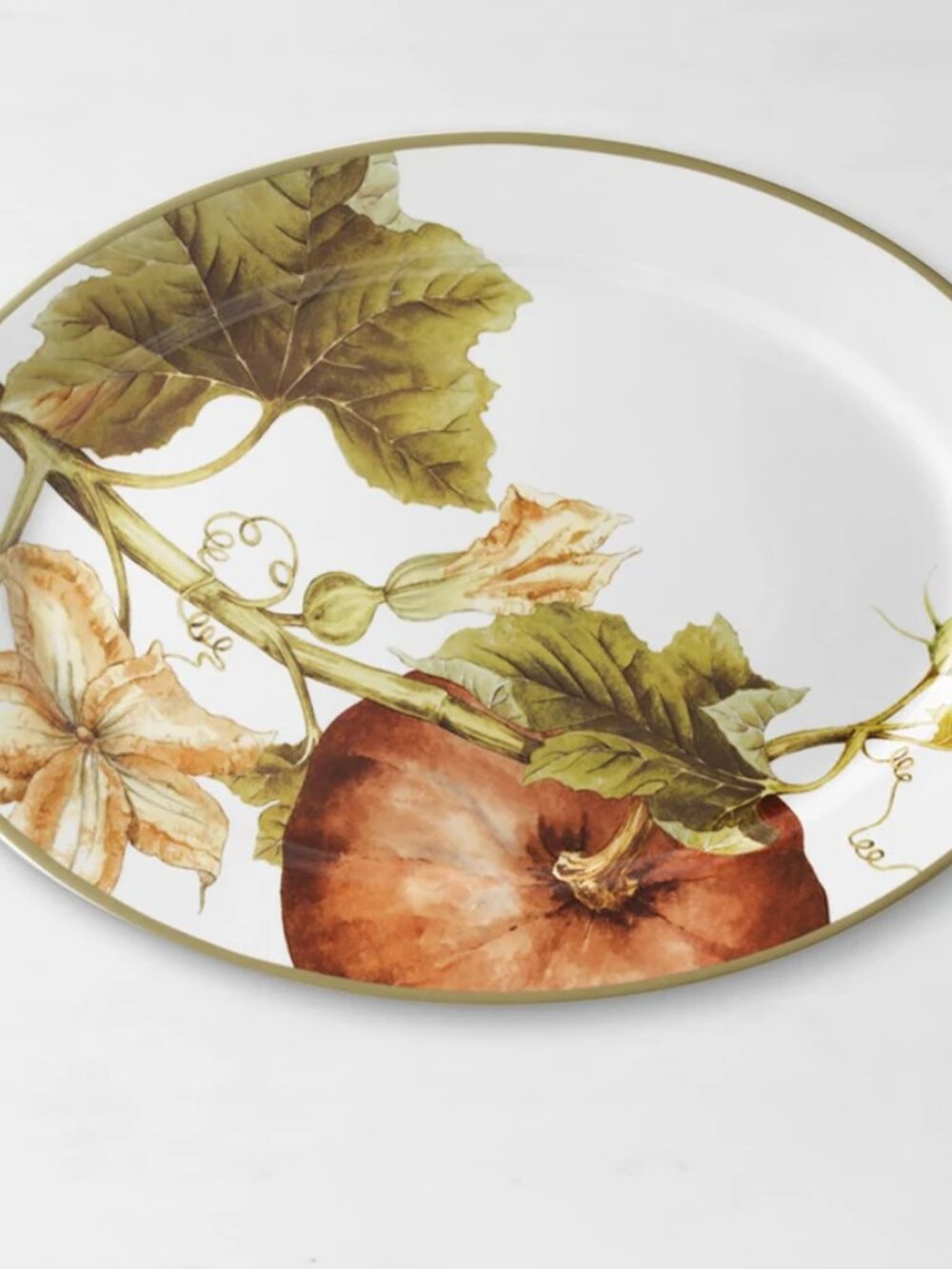 Williams Sonoma Botanical Pumpkin Dinner Plate 4pc